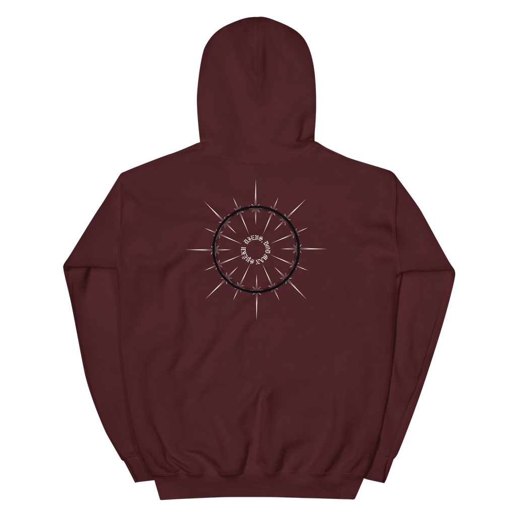 HOODIE 1 - DIEVS, DOD MAN SPĒKU